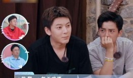 陈翔最新发文爆料,揭秘明星真实生活