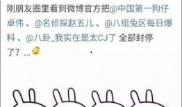 娱乐大事件吃瓜,揭秘最新大事件吃瓜指南